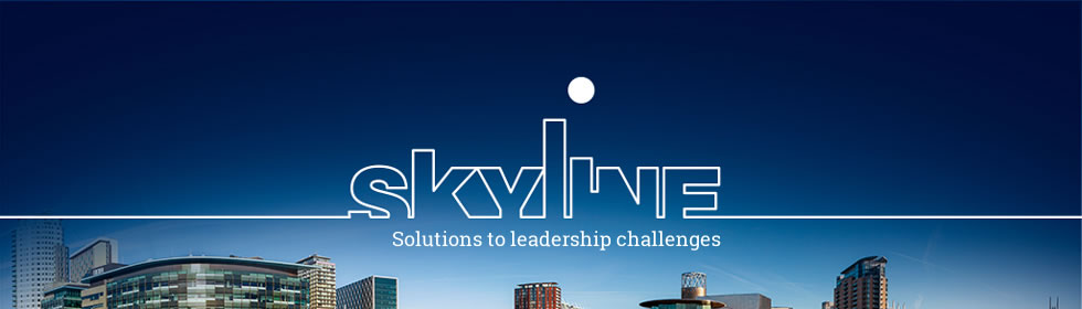 Skyline Management Consulting